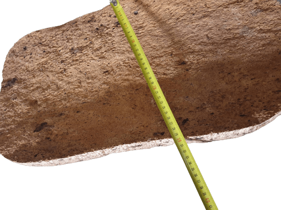Vassoio in sughero naturale, 3° misura (circa 25*50 cm) - Artigianato Pasella